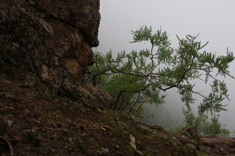 Klikni pro zm�n�en�