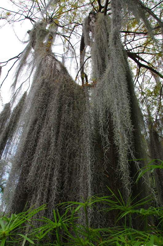 Klikni pro zm�n�en�