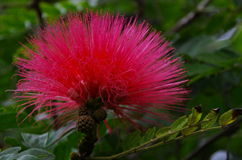 Klikni pro zm�n�en�