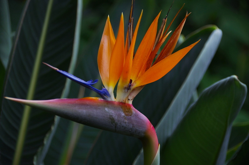 Klikni pro zm�n�en�