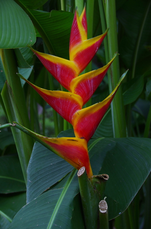 Klikni pro zm�n�en�