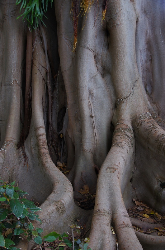 Klikni pro zm�n�en�