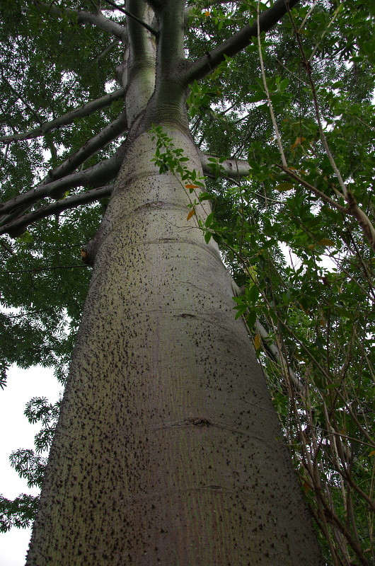 Klikni pro zm�n�en�